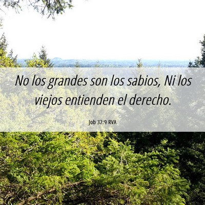 Picture 06 - Job 32:9 RVA - No los grandes son los sabios, Ni los viejos - Bible Verse Picture