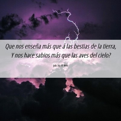 Picture 06 - Job 35:11 RVA - Que nos enseña más que á las bestias de la - Bible Verse Picture