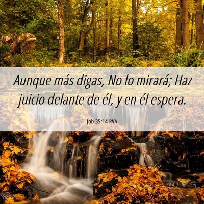 Picture 06 - Job 35:14 RVA - Aunque más digas, No lo mirará; Haz juicio - Bible Verse Picture