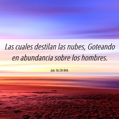Picture 06 - Job 36:28 RVA - Las cuales destilan las nubes, Goteando en - Bible Verse Picture