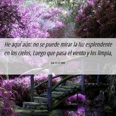 Picture 06 - Job 37:21 RVA - He aquí aún: no se puede mirar la luz - Bible Verse Picture