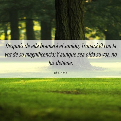 Picture 06 - Job 37:4 RVA - Después de ella bramará el sonido, Tronará él - Bible Verse Picture