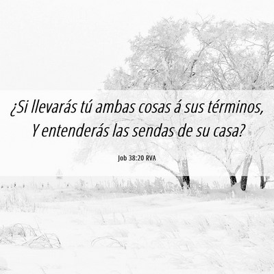Picture 06 - Job 38:20 RVA - ¿Si llevarás tú ambas cosas á sus términos, - Bible Verse Picture
