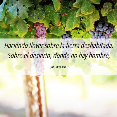 Picture 06 - Job 38:26 RVA - Haciendo llover sobre la tierra deshabitada, - Bible Verse Picture