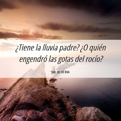 Picture 06 - Job 38:28 RVA - ¿Tiene la lluvia padre? ¿O quién engendró las - Bible Verse Picture
