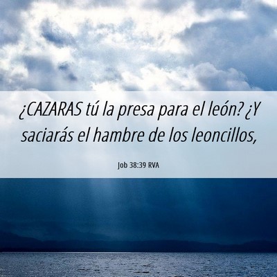 Picture 06 - Job 38:39 RVA - ¿CAZARAS tú la presa para el león? ¿Y - Bible Verse Picture