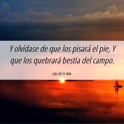 Picture 06 - Job 39:15 RVA - Y olvídase de que los pisará el pie, Y que los - Bible Verse Picture
