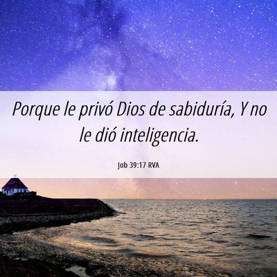 Picture 06 - Job 39:17 RVA - Porque le privó Dios de sabiduría, Y no le dió - Bible Verse Picture