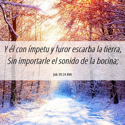 Picture 06 - Job 39:24 RVA - Y él con ímpetu y furor escarba la tierra, Sin - Bible Verse Picture