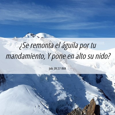Picture 06 - Job 39:27 RVA - ¿Se remonta el águila por tu mandamiento, Y - Bible Verse Picture