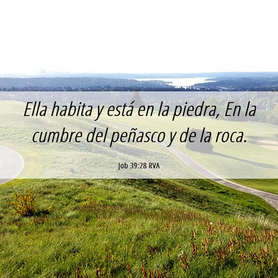 Picture 06 - Job 39:28 RVA - Ella habita y está en la piedra, En la cumbre - Bible Verse Picture