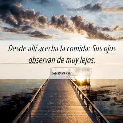 Picture 06 - Job 39:29 RVA - Desde allí acecha la comida: Sus ojos observan - Bible Verse Picture