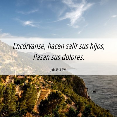 Picture 06 - Job 39:3 RVA - Encórvanse, hacen salir sus hijos, Pasan sus - Bible Verse Picture