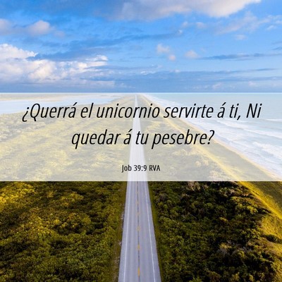 Picture 06 - Job 39:9 RVA - ¿Querrá el unicornio servirte á ti, Ni quedar - Bible Verse Picture