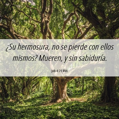 Picture 06 - Job 4:21 RVA - ¿Su hermosura, no se pierde con ellos mismos? - Bible Verse Picture