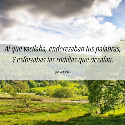 Picture 06 - Job 4:4 RVA - Al que vacilaba, enderezaban tus palabras, Y - Bible Verse Picture
