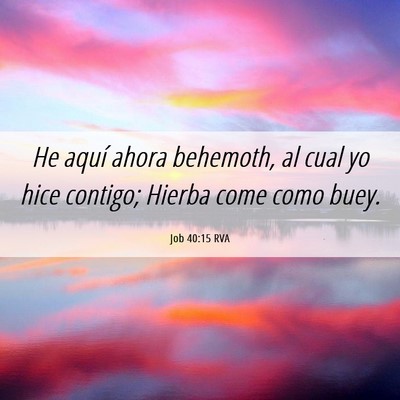 Picture 06 - Job 40:15 RVA - He aquí ahora behemoth, al cual yo hice contigo; - Bible Verse Picture