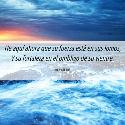 Picture 06 - Job 40:16 RVA - He aquí ahora que su fuerza está en sus lomos, - Bible Verse Picture
