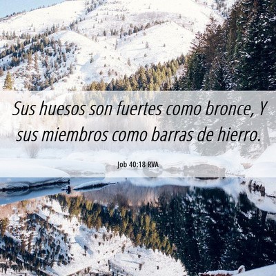 Picture 06 - Job 40:18 RVA - Sus huesos son fuertes como bronce, Y sus - Bible Verse Picture