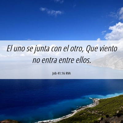 Picture 06 - Job 41:16 RVA - El uno se junta con el otro, Que viento no entra - Bible Verse Picture
