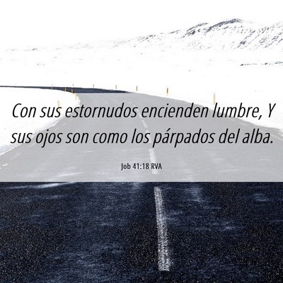 Picture 06 - Job 41:18 RVA - Con sus estornudos encienden lumbre, Y sus ojos - Bible Verse Picture