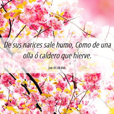 Picture 06 - Job 41:20 RVA - De sus narices sale humo, Como de una olla ó - Bible Verse Picture