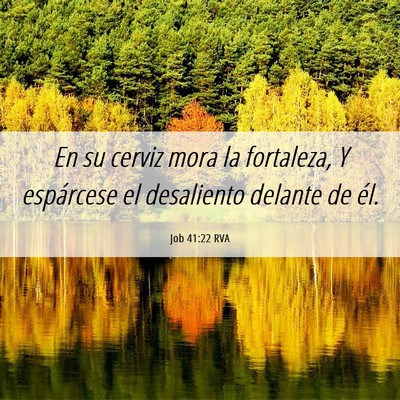 Picture 06 - Job 41:22 RVA - En su cerviz mora la fortaleza, Y espárcese el - Bible Verse Picture