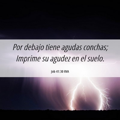 Picture 06 - Job 41:30 RVA - Por debajo tiene agudas conchas; Imprime su - Bible Verse Picture
