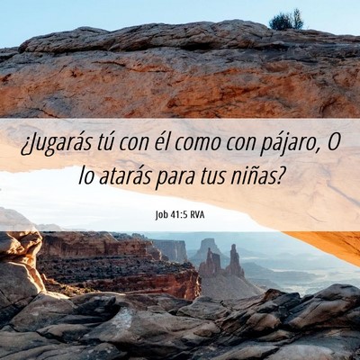 Picture 06 - Job 41:5 RVA - ¿Jugarás tú con él como con pájaro, O lo - Bible Verse Picture
