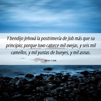 Picture 06 - Job 42:12 RVA - Y bendijo Jehová la postrimería de Job más que - Bible Verse Picture