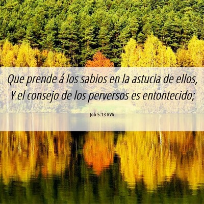 Picture 06 - Job 5:13 RVA - Que prende á los sabios en la astucia de ellos, - Bible Verse Picture