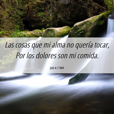 Picture 06 - Job 6:7 RVA - Las cosas que mi alma no quería tocar, Por los - Bible Verse Picture