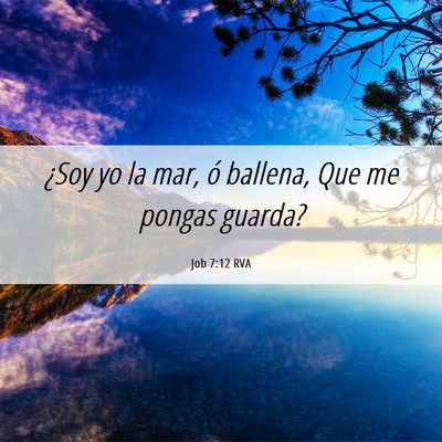 Picture 06 - Job 7:12 RVA - ¿Soy yo la mar, ó ballena, Que me pongas - Bible Verse Picture