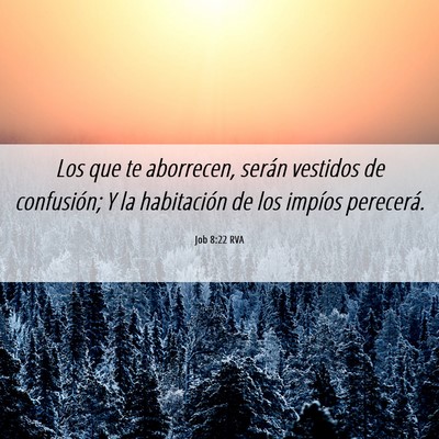 Picture 06 - Job 8:22 RVA - Los que te aborrecen, serán vestidos de - Bible Verse Picture