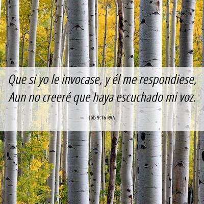 Picture 06 - Job 9:16 RVA - Que si yo le invocase, y él me respondiese, Aun - Bible Verse Picture