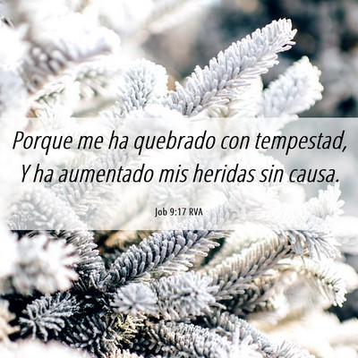 Picture 06 - Job 9:17 RVA - Porque me ha quebrado con tempestad, Y ha - Bible Verse Picture