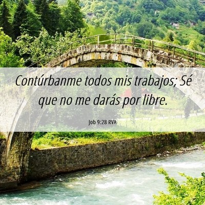 Picture 06 - Job 9:28 RVA - Contúrbanme todos mis trabajos; Sé que no me - Bible Verse Picture