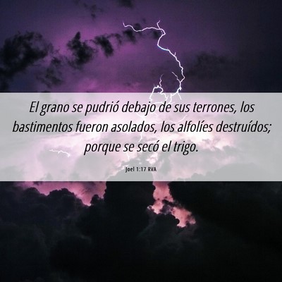 Picture 06 - Joel 1:17 RVA - El grano se pudrió debajo de sus terrones, los - Bible Verse Picture