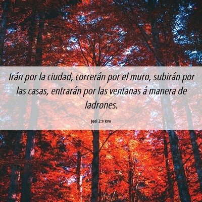 Picture 06 - Joel 2:9 RVA - Irán por la ciudad, correrán por el muro, - Bible Verse Picture