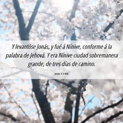 Picture 06 - Jonás 3:3 RVA - Y levantóse Jonás, y fué á Nínive, conforme - Bible Verse Picture