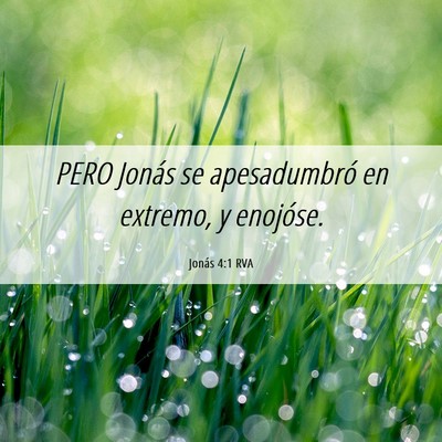 Picture 06 - Jonás 4:1 RVA - PERO Jonás se apesadumbró en extremo, y - Bible Verse Picture