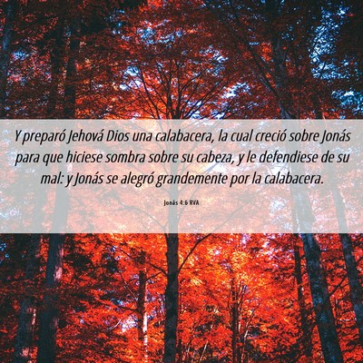 Picture 06 - Jonás 4:6 RVA - Y preparó Jehová Dios una calabacera, la cual - Bible Verse Picture