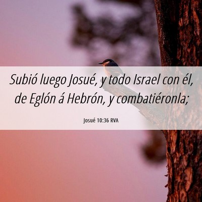 Picture 06 - Josué 10:36 RVA - Subió luego Josué, y todo Israel con él, de - Bible Verse Picture