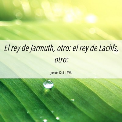 Picture 06 - Josué 12:11 RVA - El rey de Jarmuth, otro: el rey de Lachîs, - Bible Verse Picture