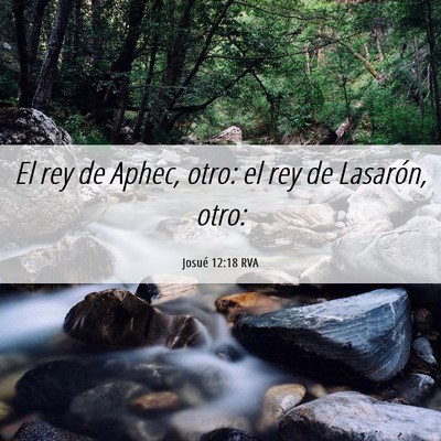 Picture 06 - Josué 12:18 RVA - El rey de Aphec, otro: el rey de Lasarón, - Bible Verse Picture