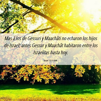 Picture 06 - Josué 13:13 RVA - Mas á los de Gessuri y Maachâti no echaron los - Bible Verse Picture