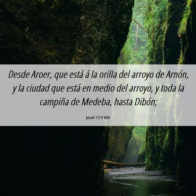 Picture 06 - Josué 13:9 RVA - Desde Aroer, que está á la orilla del arroyo de - Bible Verse Picture