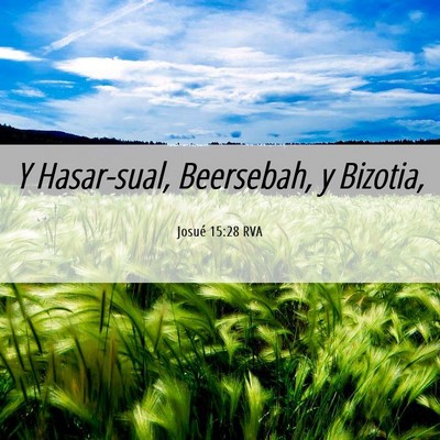 Picture 06 - Josué 15:28 RVA - Y Hasar-sual, Beersebah, y - Bible Verse Picture