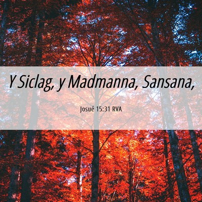 Picture 06 - Josué 15:31 RVA - Y Siclag, y Madmanna, - Bible Verse Picture