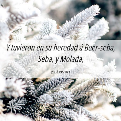 Picture 06 - Josué 19:2 RVA - Y tuvieron en su heredad á Beer-seba, Seba, y - Bible Verse Picture